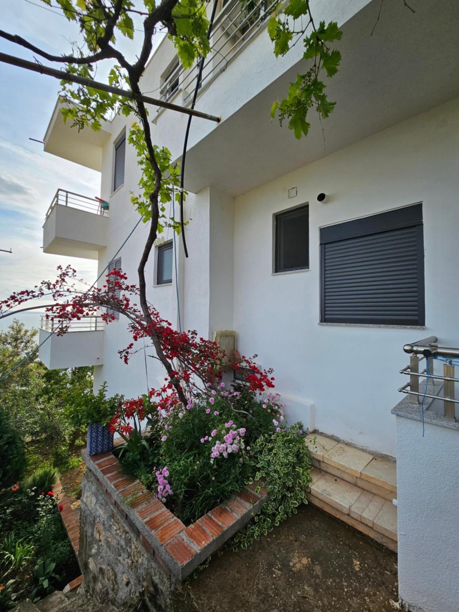 Nora's Sarandë
